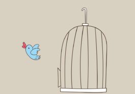 Kinder Absperrgitter