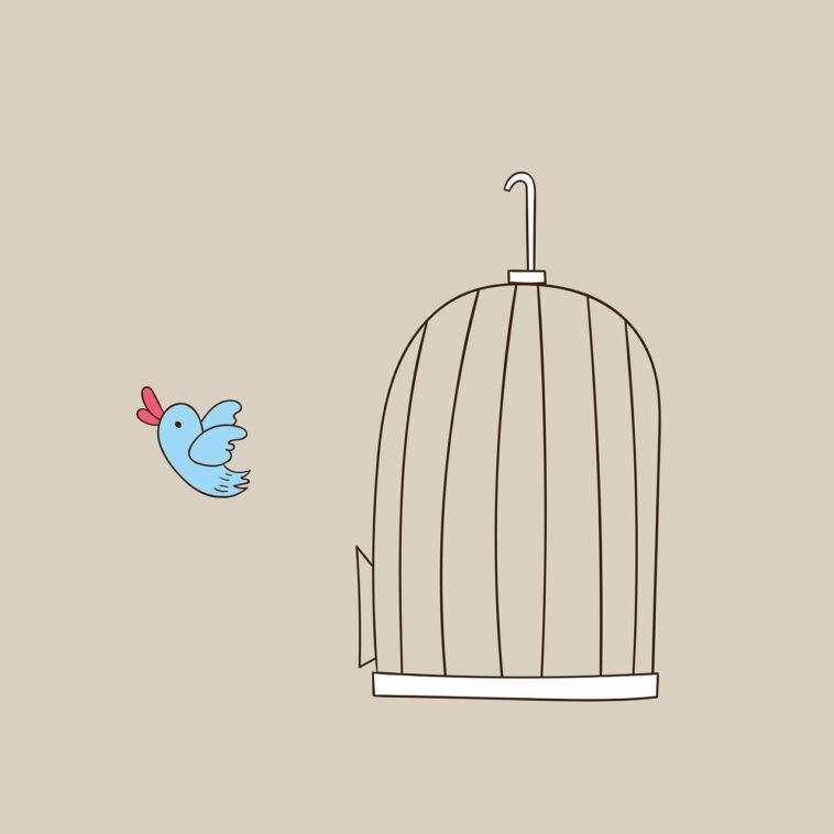 Kinder Absperrgitter