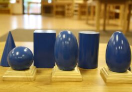 montessori-spielzeug Montessori Spielzeug, das auf den Tastsinn abzielt, ist ideal für die sensorische Entwicklung von 2-Jährigen.