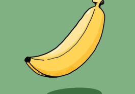 veganer-ersatz-fuer-tierische-produkte