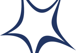 wie-funktioniert-eine-knallerbse